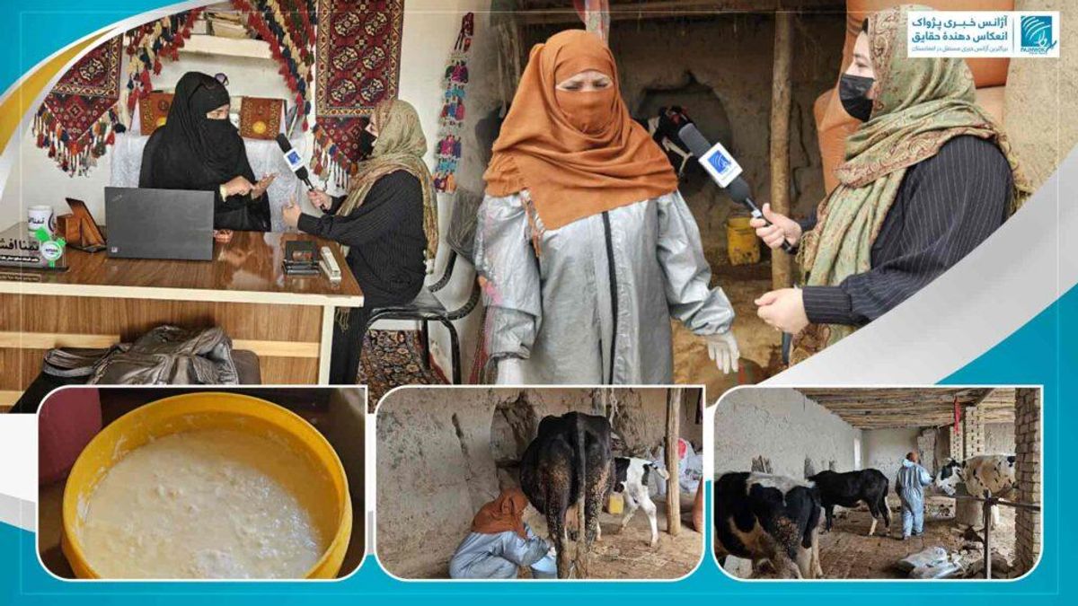 Woman-Led Dairy Farm in Jawzjan Creates Job Opportunities