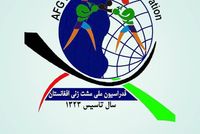 Afghan Boxers Expand Protests, Demand Leadership Change in National Federation