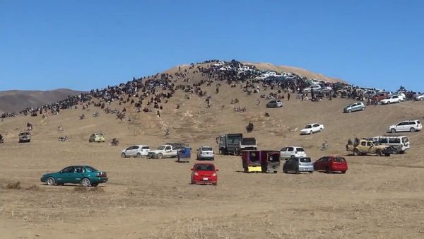 Taliban Publicly Flog 19 People in Balkh, Nimroz and Ghor Provinces