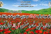 Traditional Poetry Symposium Gol Lala Held in Jawzjan Province