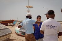 IOM Reports Nearly 8,000 Migrant Deaths Globally in 2025