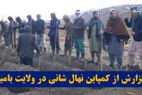 My Homeland Report Covers Nehal Shani Campaign in Bamyan Province
