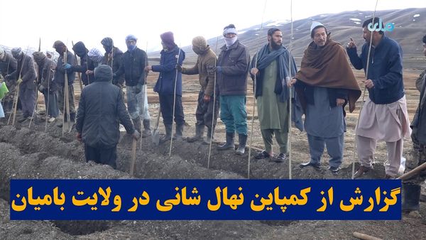 My Homeland Report Covers Nehal Shani Campaign in Bamyan Province