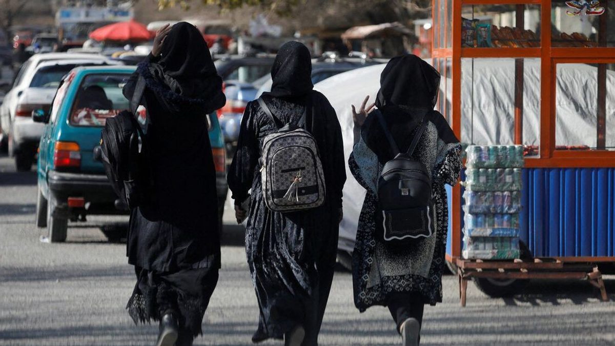 UN Calls for Equal Rights and Inclusive Decision-Making in Afghanistan on World Social Justice Day