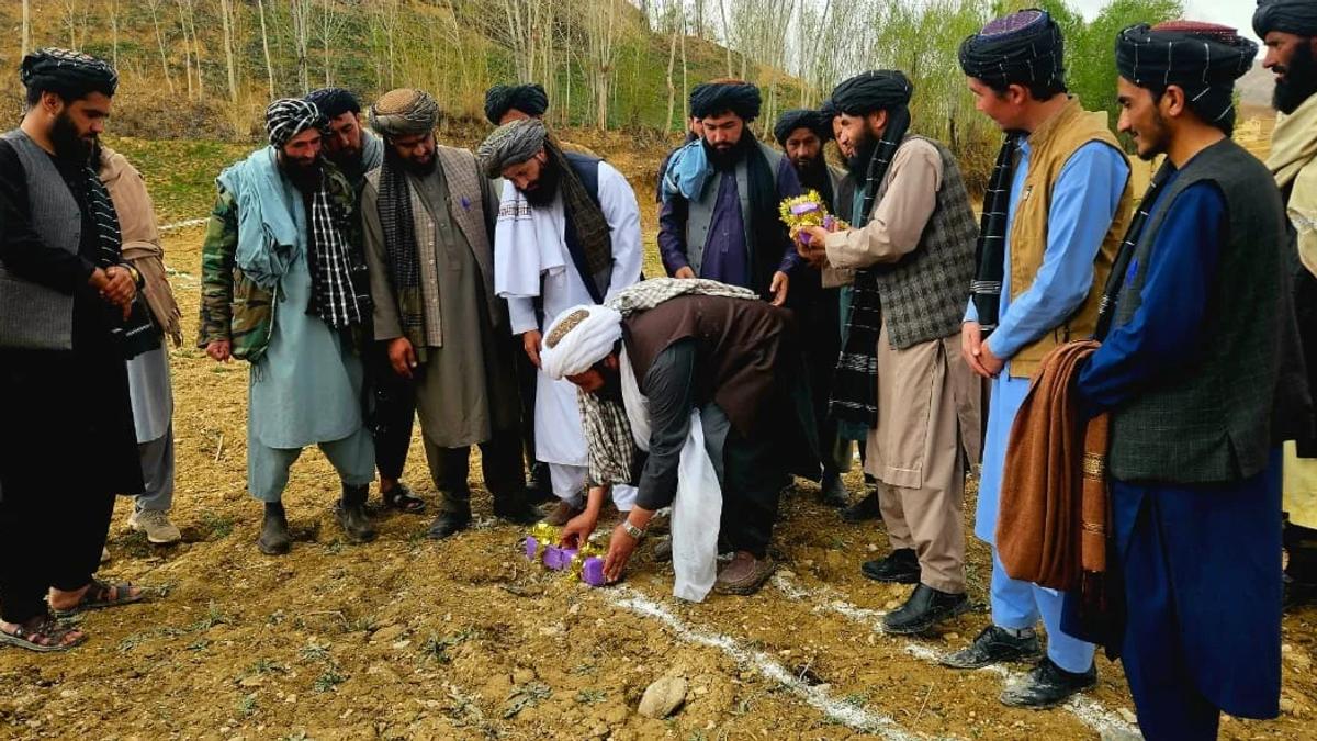 Construction of Education Directorate Buildings Begins in Three Ghor Districts