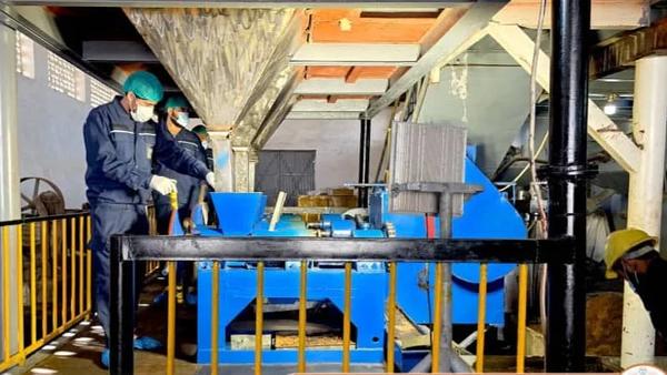 Spin Zar Company in Kunduz Doubles Sesame Oil Production