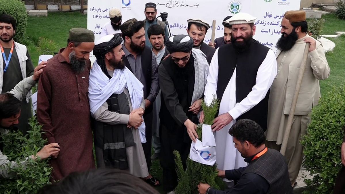Environmental Agency and Telecom Firm Launch Tree-Planting Initiative in Kabul