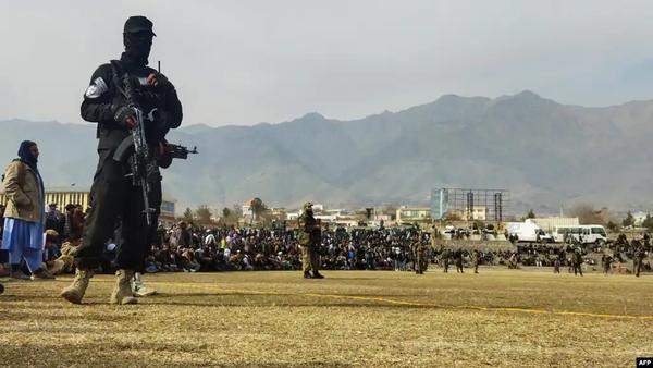 Taliban court whips man for theft in Paktia province