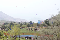 Three-Day Kite-Flying Festival Held in Qargha, Kabul