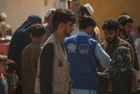 Pakistan Detains Over 19,000 Afghan Migrants in Past Three Months