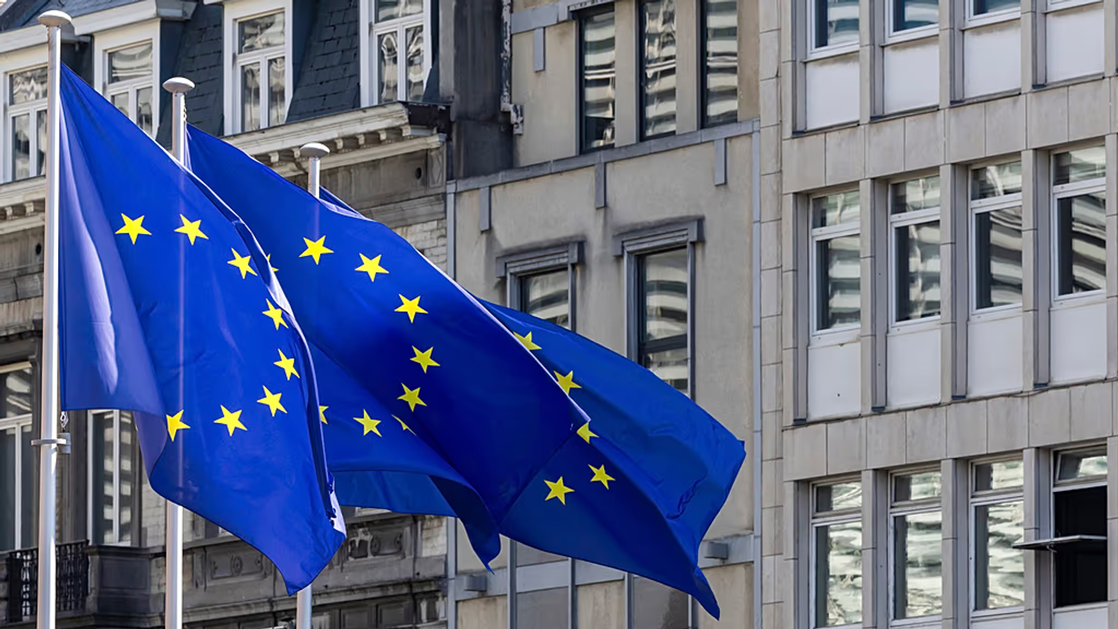 Over 40 Human Rights Organizations Urge EU to Avoid Engagement with Taliban