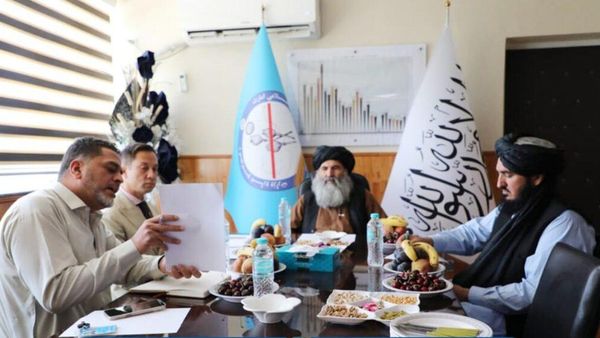 Islamic Emirate of Afghanistan Urges UN to Fairly Reflect Counter-Narcotics Efforts