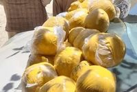 14 Kilograms of Opium Smuggling Prevented in Badakhshan's Kashm District