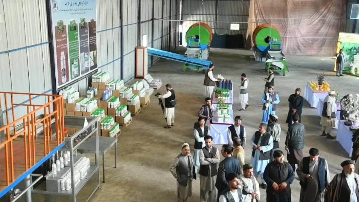 New Fertilizer Production Facility Opens in Balkh Province