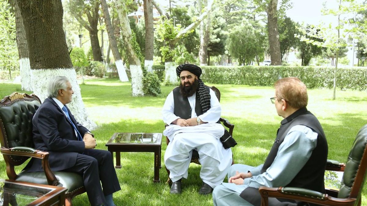 Pakistani Professor Says Islamabad's Afghanistan Policy Has Backfired, Now Views Taliban as Terrorist Regime