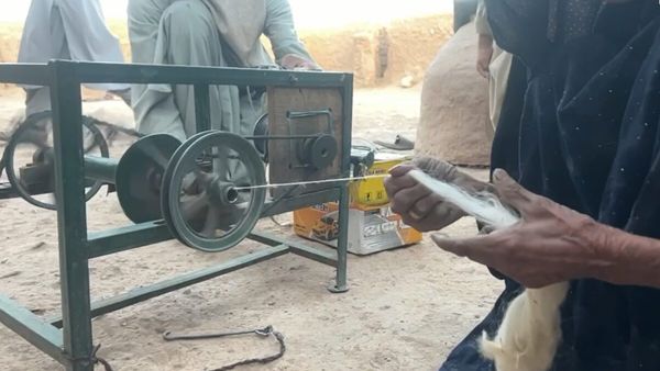 Wool Spinners in Zabul Report Sharp Decline in Business