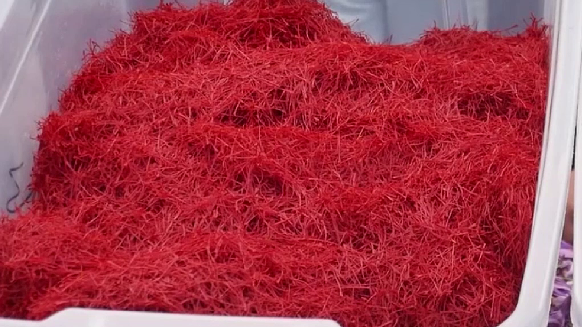 Afghanistan Exports 56 Tons of Saffron Worth $54 Million in 2025