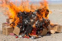 Forty Cartons of Substandard Medicine Destroyed in Farah Province