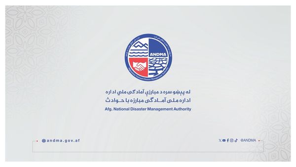 National Disaster Management Authority Signs 137 Agreements Worth $53.4 Million