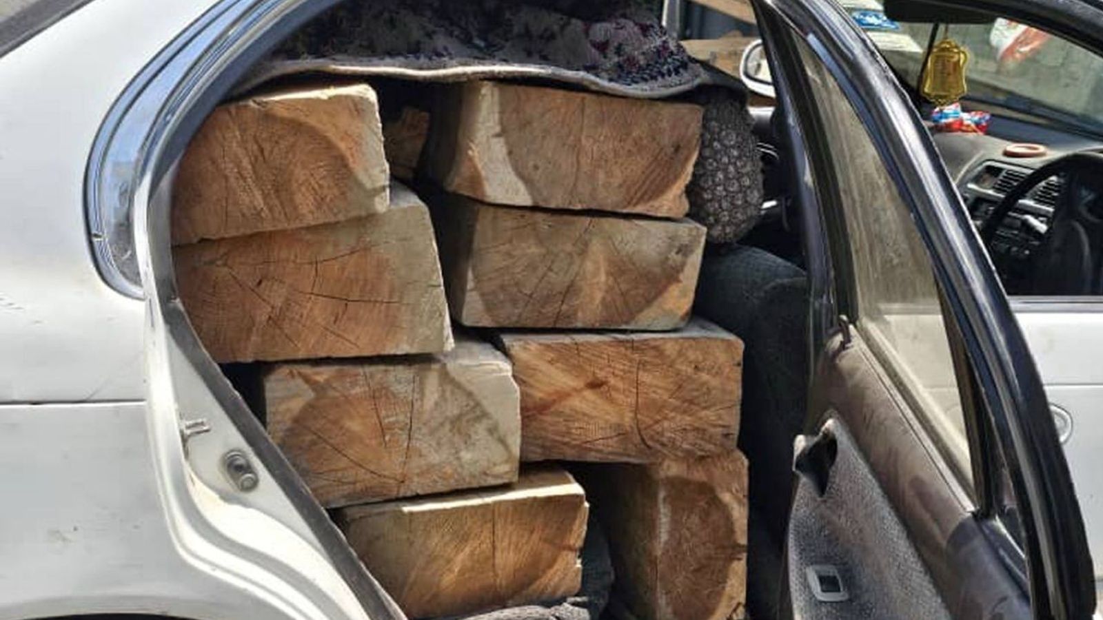 Suspect Arrested in Kunar for Smuggling Valuable Timber