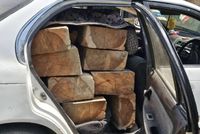 Suspect Arrested in Kunar for Smuggling Valuable Timber