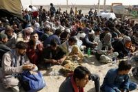 UN Reports More Than Six Million Afghan Migrants Returned Since 2023