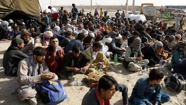 UN Report: Afghan Refugee Population Decreases to 3.7 Million