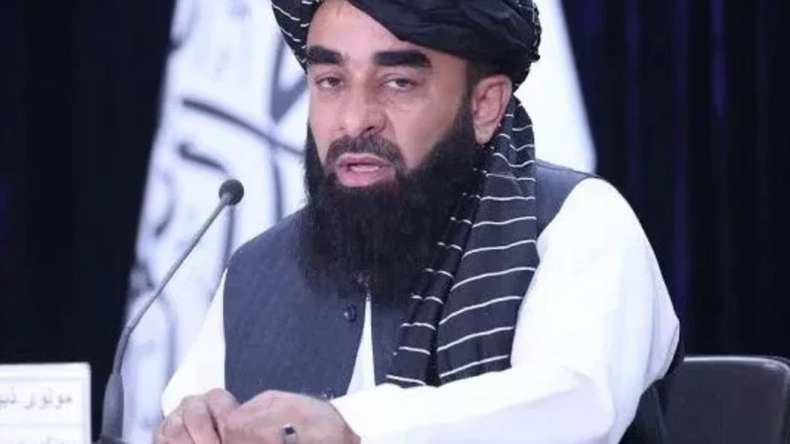 Taliban Spokesperson Says Afghans Ready to Cooperate with Iranians if US Attacks