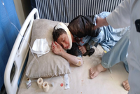 Traffic Accident in Logar Province Leaves Twelve Injured