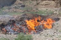 Six Tons of Expired Food Destroyed in Khost Province