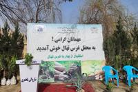 Pul-e Khumri Municipality Launches Campaign to Plant Thousands of Saplings