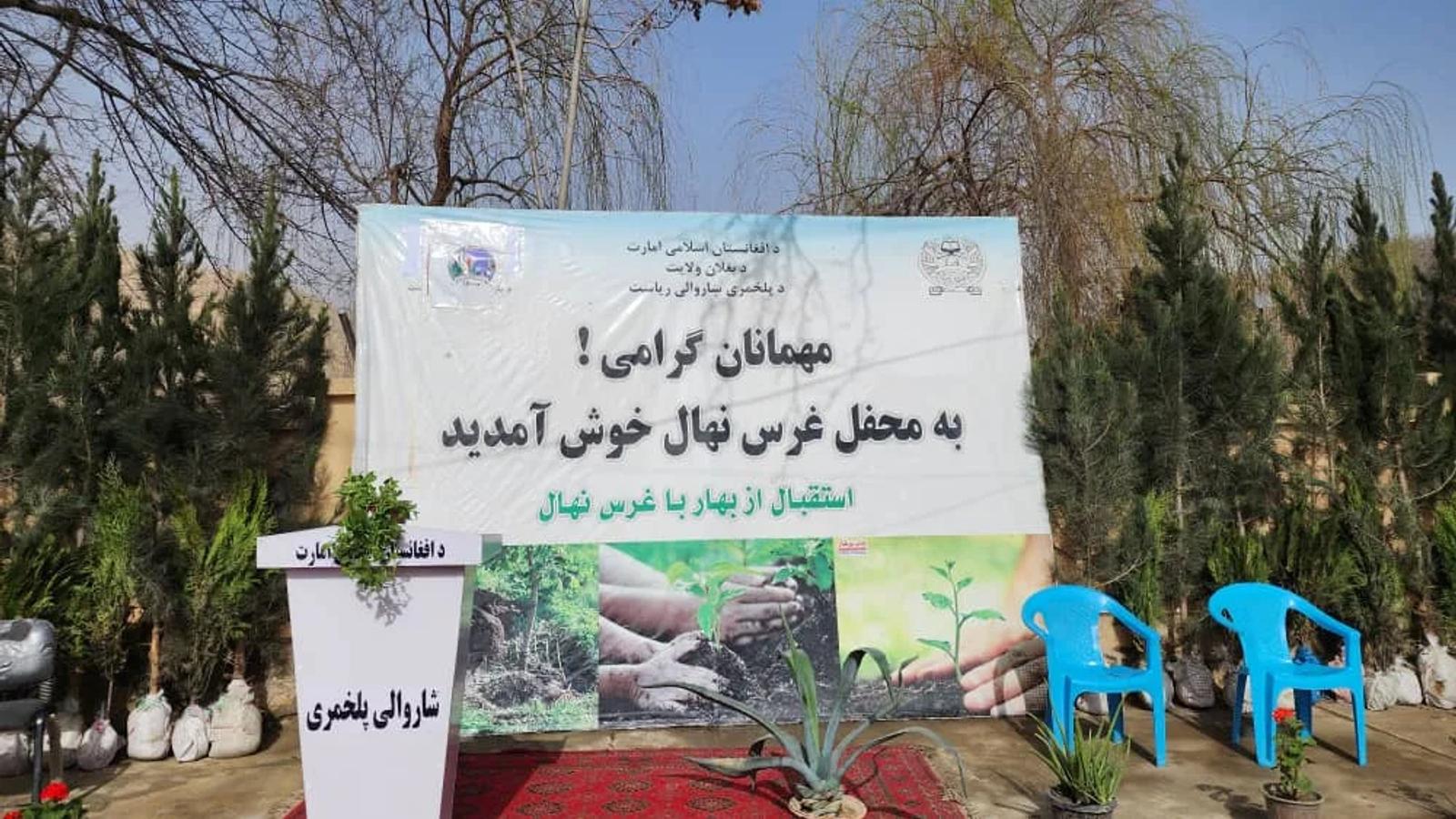 Pul-e Khumri Municipality Launches Campaign to Plant Thousands of Saplings