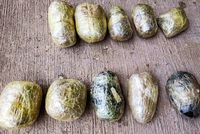 Uzbek Border Forces Seize 10.3 Kilograms of Hashish from Afghan Smuggler Crossing Amu Darya