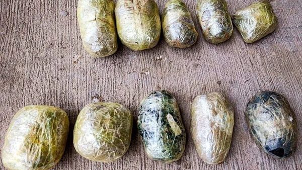 Uzbek Border Forces Seize 10.3 Kilograms of Hashish from Afghan Smuggler Crossing Amu Darya