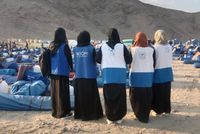 UN Experts Condemn Taliban's Ban on Women Entering UN Offices, Urge Diplomatic Pressure