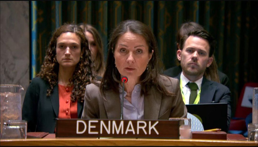 Denmark's UN Representative Urges Immediate Appointment of New Special Envoy for Afghanistan
