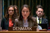 Denmark's UN Representative Urges Immediate Appointment of New Special Envoy for Afghanistan
