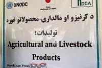 Alternative poppy cultivation project completed in four Kandahar districts