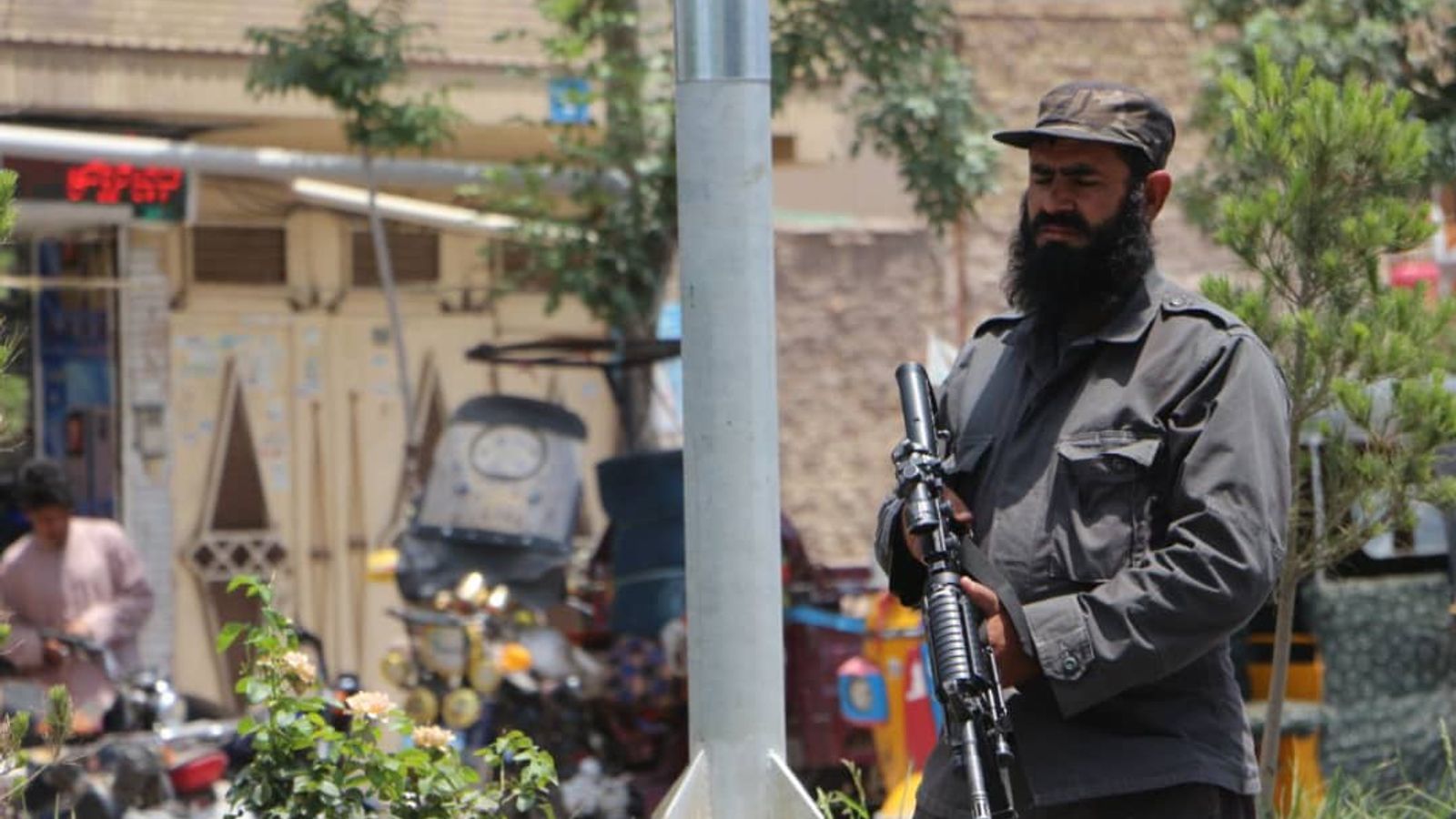 Taliban Arrest Suspicious Individual After Deadly Shooting in Herat's Anjil District