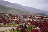 70,000 Domestic Tourists Visit Parwan Attractions During Eid-ul-Fitr