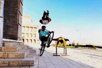 Afghanistan Obtains First Membership in World Street Sports Organization Kardo