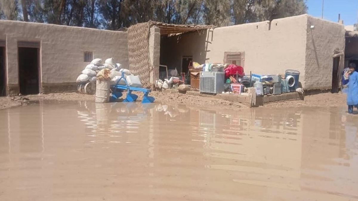 UN Agency Reports Border Clashes and Floods Worsen Humanitarian Crisis in Afghanistan