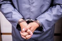 Three Suspects Arrested for Stealing Five Goats in Ghazni Andar District