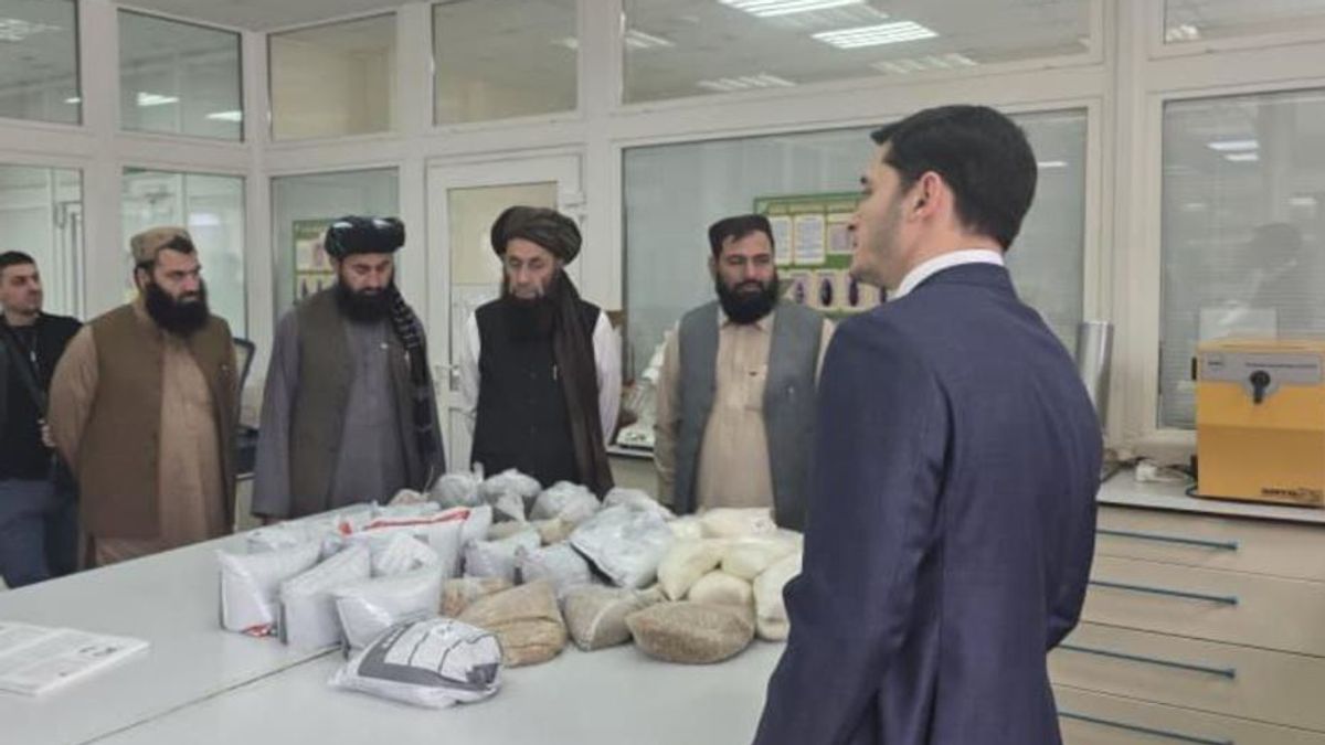 Islamic Emirate of Afghanistan Delegation Visits Russian Quality Assurance Research Center