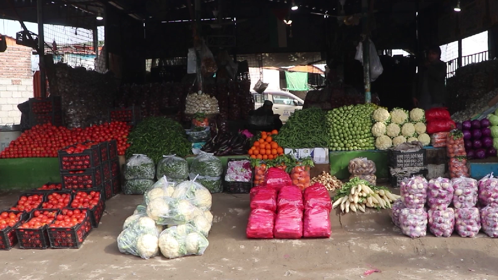 Khost Reaches Vegetable Self-Sufficiency After Pakistan Trade Closure