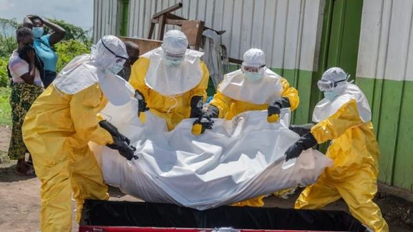 Ebola Death Toll in Democratic Republic of Congo Rises to 267