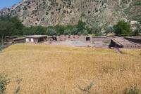 Construction Begins on New Building for Anwar-ul-Uloom Madrasa in Logar