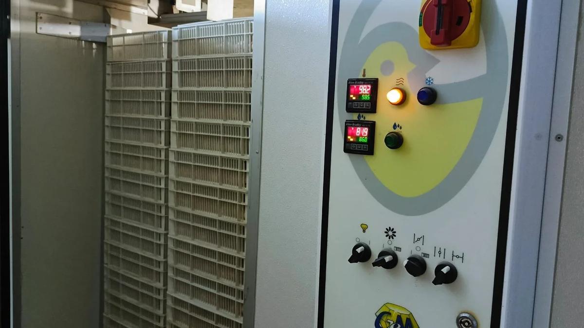 Poultry Production Expands in Helmand Province