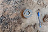 96 Killed, 328 Injured in 225 Mine and UXO Incidents in Afghanistan Over Past Year