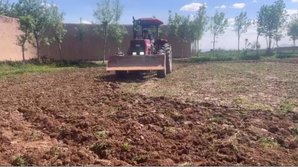 Taliban Restrict Lalmi Cultivation in Ghazni's Nahor District to Local Residents